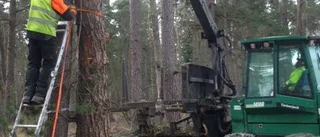 Stambyte påverkar hundratals