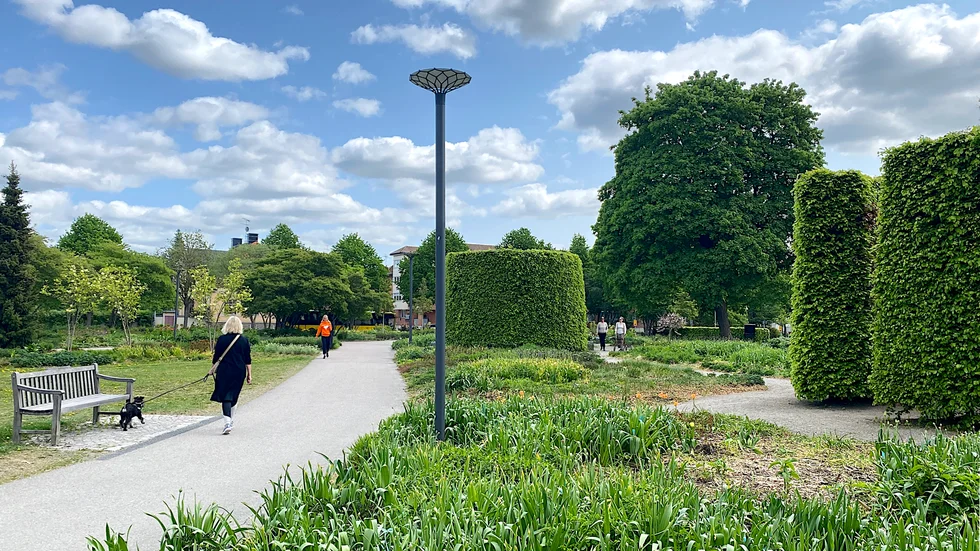 Drömparken får ny belysning som ger ett mer finstämt ljus än tidigare och som inte bländar. Även de höga bokcylindrarna får ny effektbelysning.