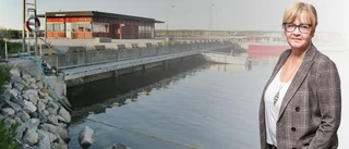 Vad det än gäller ska Gotlands grundläggande behov ifrågasättas
