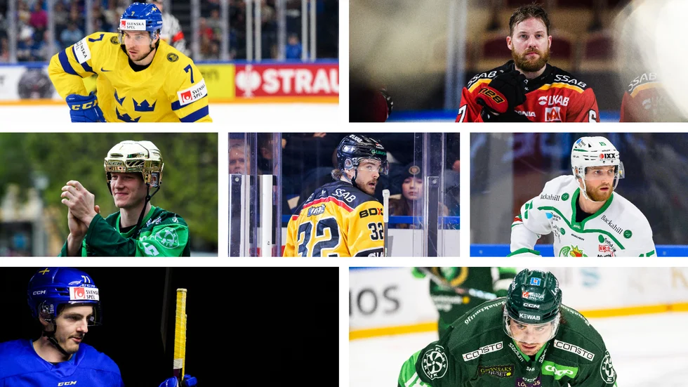 Henrik Tömmernes, Linus Omark, Gustav Rydahl, Oscar Engsund, Simon Ryfors, Isac Brännström och Remi Elie är sju profilvärvningar i SHL-hockeyn.