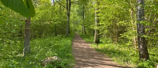 Grönstrukturplan – Inget för Motala kommun