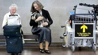 Barbara Watts föder upp terriers hemma i Kanada och dömer själv tävlingar. Hit har hon bara åkt för att titta. Men Joanna Tuttle från Massachusetts, USA, håller ömt om sin Lyle, eller Champion Sterling Ugly from the Front, som han egentligen heter eftersom han är döpt efter en Lyle Lovett-låt. De ska tävla.- En sån här hund har man bara en gång i livet. Han sover med mig och är en riktig sällskapshund. Samtidigt älskar han att tävla och har både rätt attityd och utseende för sin ras. Han är bland de fem bästa dvärgschnauzrarna i USA, säger hon stolt.
