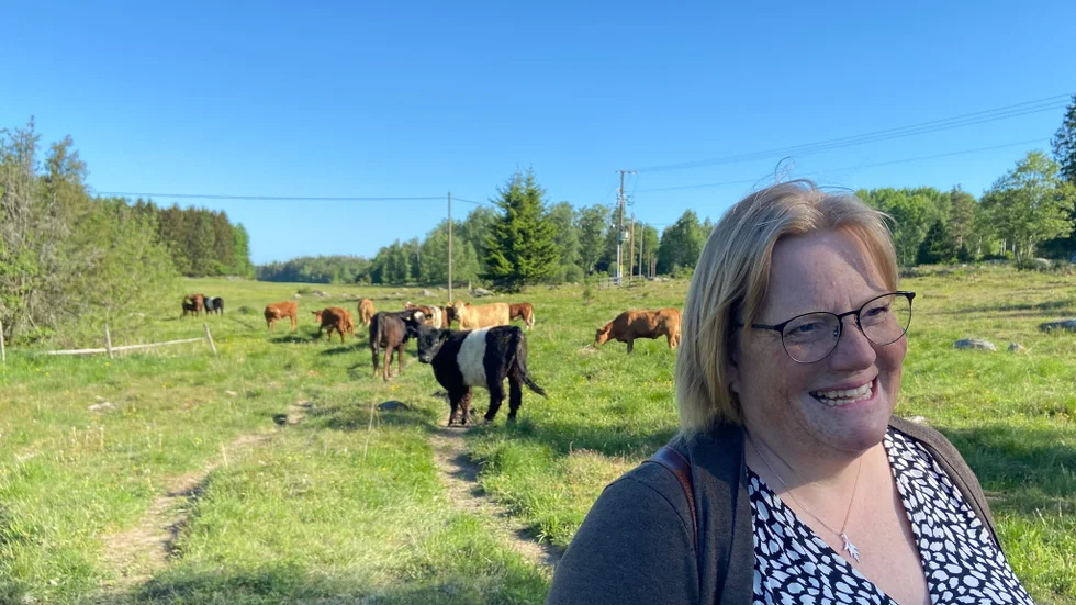 Kor i industriområdet är en syn som gillas av Pia Lindahl, klimatstrateg i Katrineholms kommun: "Tack vare betesdjuren är det stor biologisk mångfald här."