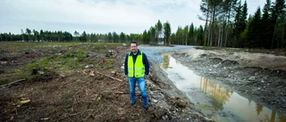 Skyddande skog kan naggas i kanten för att ge fler industritomter