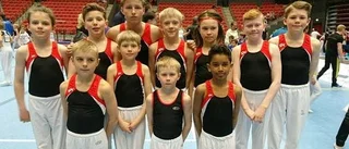 Medaljregn över Lulegymnasterna