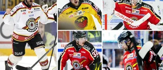 Betyg: Så bra är Luleå Hockey