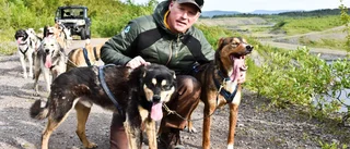 Jätteskandal: Hundar dopades – Kirunaprofilen rasar