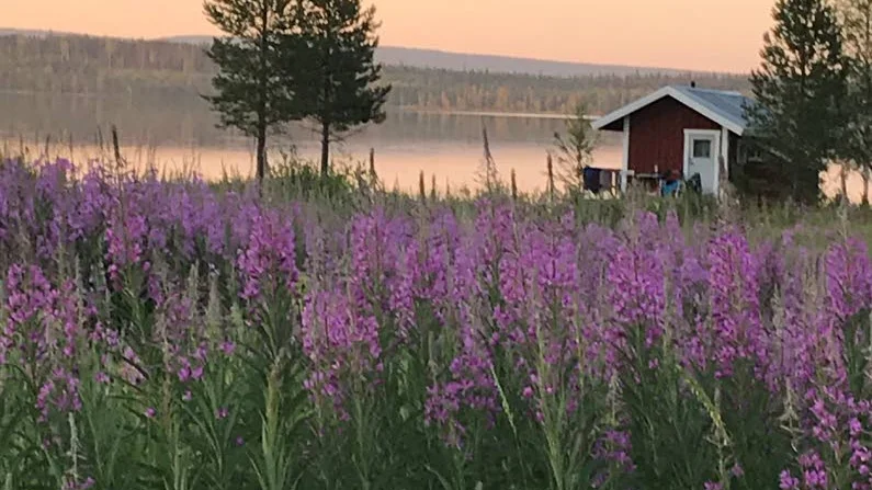 En kväll i juli... då sommaren var som bäst, skriver Else-May Larsson och skickar med den här bilden hon tagit i Hirvijärvi.
