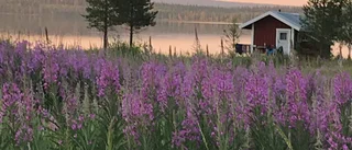 Läsarbilden