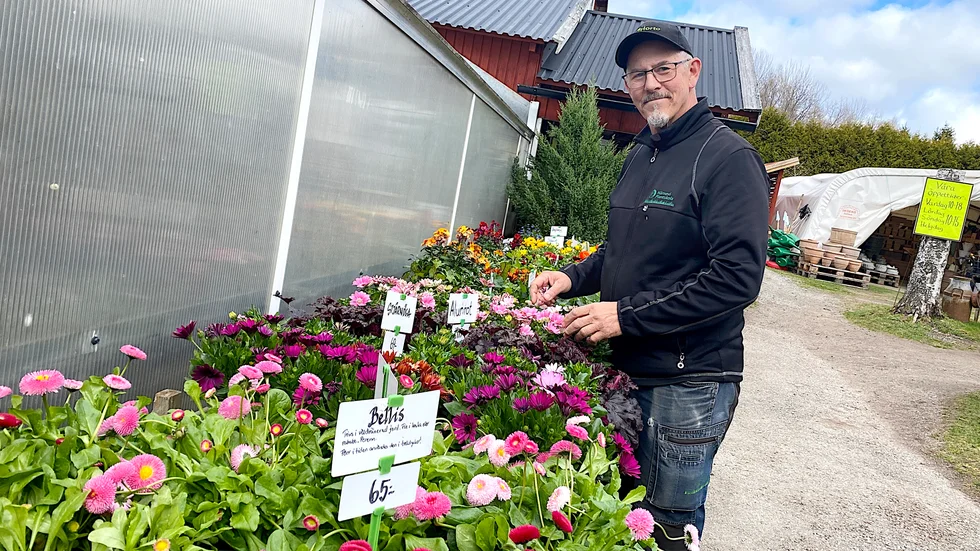 Förstamajhelgen är traditionellt startskottet i försäljningssäsongen för plantskolorna i mellansverige. Vid Härnevi plantskola är Karl-Åke Pettersson och de anställda väl förberedda på kundtillströmningen.