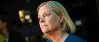 Statsvetare om debatten: "En sorglig syn"
