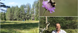 Natursverige hyllar den biologiska mångfalden