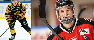 SHL-meriterade backklippan stannar i Piteå: "Känns helt rätt"
