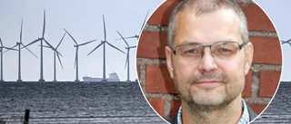 Professorn: Så kan vindkraftverken sänka huspriserna