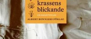 Här är pärlorna i årets bokflod