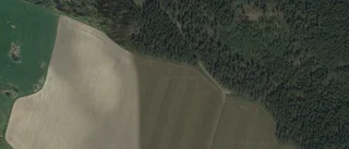 Nya ägare till gård i Björkvik
