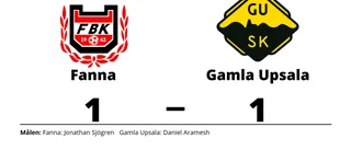 Fanna kryssade mot Gamla Upsala