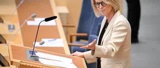 Riksdagen säger ja till nytt energimål