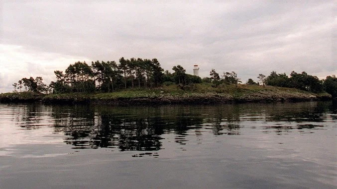 Länsstyrelsen söker ny tillsynsperson till naturreservatet Motalabuktens öar, där Fjuk är en.