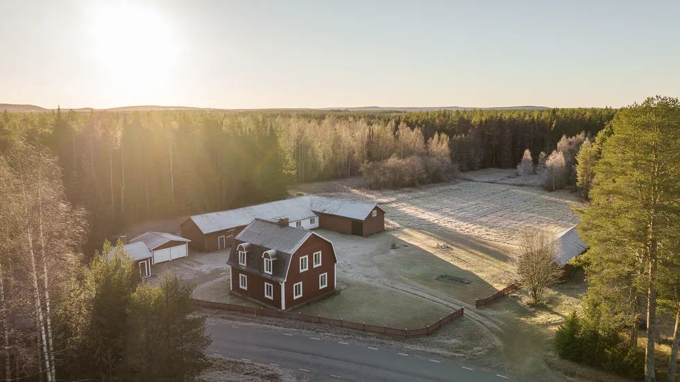En gård med jordbruk i Burträsk toppar listan över de dyraste bostäderna som sålts i Skellefteå kommun under det senaste kvartalet. Tomtarean ligger på 1 367 000 kvadratmeter.