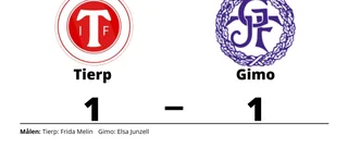 Tierp kryssade hemma mot Gimo