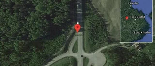 Rådjur på vägen på väg 56