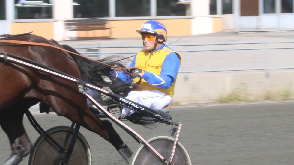 Skicklige hemmaamatören Jens Nilsson sitter upp bakom den store V4 och V5-favoriten Zorro Swing på Bodentravet, torsdag kväll.