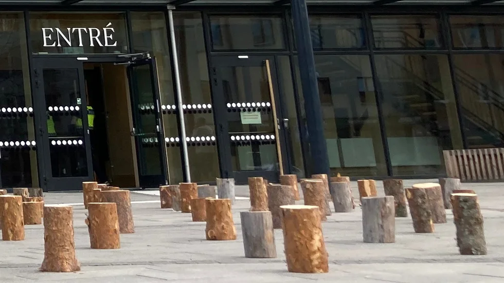 På tisdagen kunde förbipasserande se stubbar utanför Sara kulturhus.