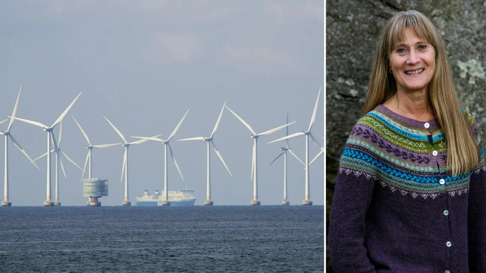Barbro Grebacken, projektledare Svea vind offshore, är förhoppningsfull att vindkraftparken vid Piteå skärgård ska bli verklighet.