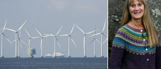 Piteåborna får tycka till om vindkraft i skärgården