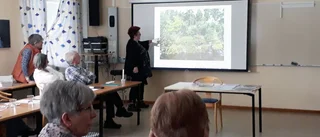 Trädgårdsamatörerna hade årsmöte