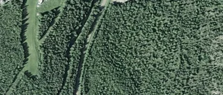 Ny ägare till skogsmark i Korpilombolo