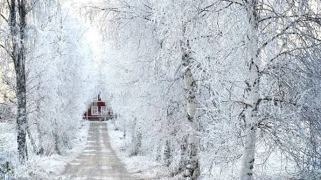 Det var i den här fastigheten i Vuollerim som dramat utspelade sig.FOTO: Sandra Daniloff