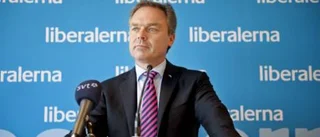 Sverige behöver både plugghästar och busungar