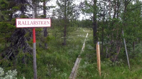 65 personer, män och kvinno0r gav sig tidigt på lördagmorgon ut för att avverka rallarmarschen mellan Gällivare och Porjus.