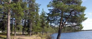 Uppmärksammade mordfall i Norrbotten