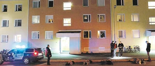 Poliser med dragna vapen grep män med påkar
