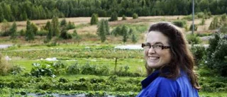 Aulis ängar blev grönsaksland