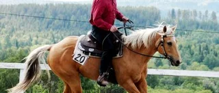 Lösa tyglar på westerndagen