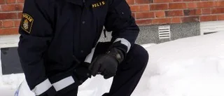Kungsörnarna hjälslagna
