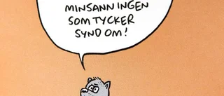 Kellermannen skämtar på en bredare front