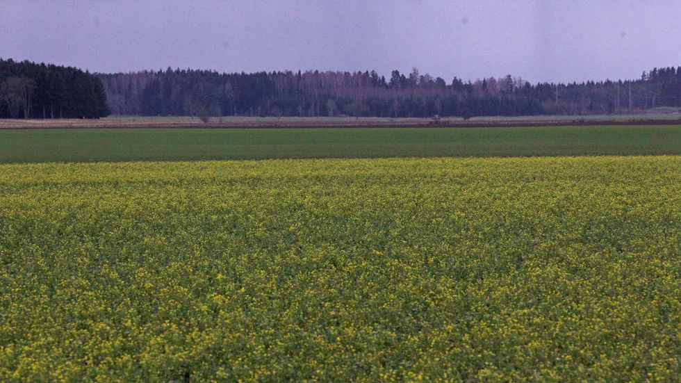 Bjälbo, klockan 9 den 2 december, 2011. Har världen blivit galen?