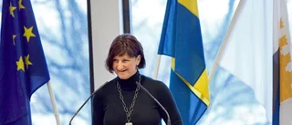 Starka ord i budgetdebatten