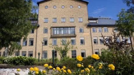 Hermelinsparken i Luleå har endast perenna växter. Smör-bollarna återkommer år efter år.