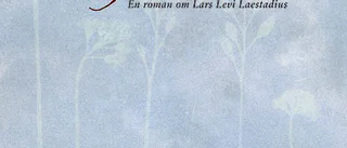 Nya sidor hos Lars Levi Laestadius