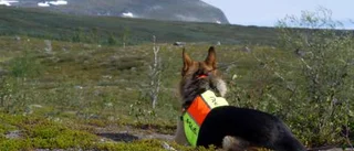 Polisinsats kritiseras av samer