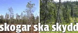 Länet får två nya naturreservat