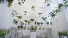 Den vita, flortunna kupolen står som ett litet hoppfullt moln inne i Konsthallens första galleri. Inuti finns mängder med gröna växter som renar luften åt de besökare som väljer att slå sig ner en stund. Foto: Göran Ström