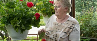 Favorit i repris: Fångade president i sitt garn