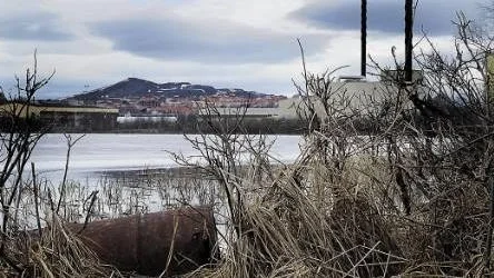 Kiruna kommun är tillsynsansvarig för den förgiftade sjön Ala Lombolo, enligt länsstyrelsen. FOTO: Hans L. Olofsson